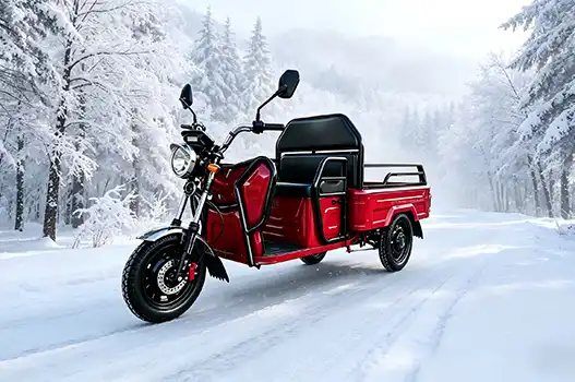 The Best Electric Cargo Tricycles for Hauling Your Life Around